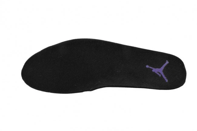 Rep Air 12 Field CT8013-057 Purple Jordan Retro 0730